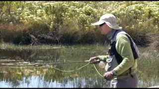 Catching a largeouth bass on fly