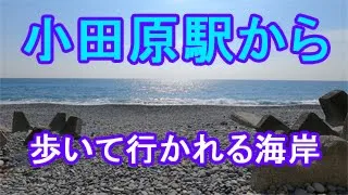 小田原駅から歩いて行かれる海岸