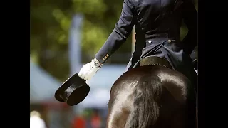 Coming Home - Dressage Music Video