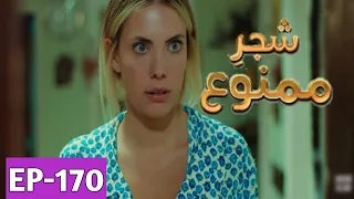 Shajar-e-Mamnu Episode 170 Promo | Turkish Drama | Forbidden Fruit | UrduDubb| 3 Aug 2021 |P-2