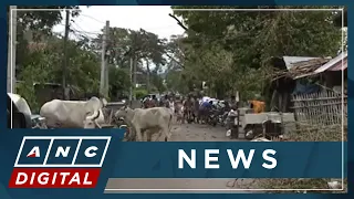 Devastated Abra province declares state of calamity | ANC