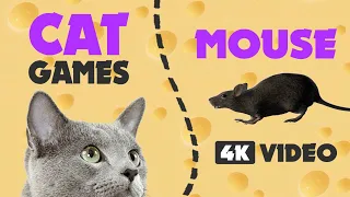 CAT GAMES MOUSE hunt ★ you must show your cat 1 HOUR 4K video