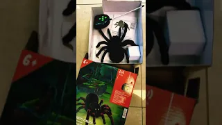 Scare them with RC Tarantula -  Halloween Gift Ideas 2021 - Gift Ideas #shorts #toys #halloween