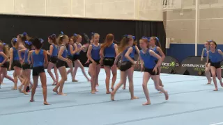 The Floor: Arabian Gymnastics - Cheer Team