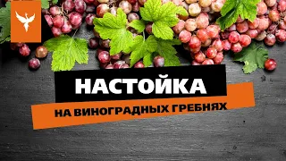 рДЖ 64. Настойка на виноградных гребнях 🍇 Простой способ сделать "коньяк" буквально из ничего  👍