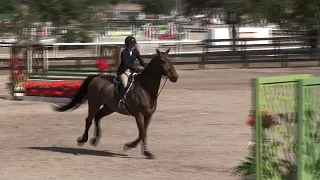 Video of Catskills ridden by JESSICA HUNKIAR from ShowNet!