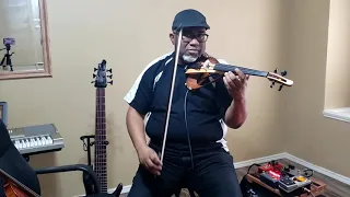 Acoustic Violin or Electric Violin (Yamaha Yev)