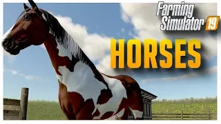 How to take care of and level up horses | Farming Simulator '19