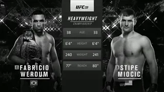 FREE FIGHT UFC 241- STIPE MIOCIC VS FABRICIOWERDUM FULL FIGHT