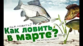 Какая рыба ловится в марте? На что ловится рыба в марте? Поведение рыбы в марте!