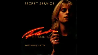 Secret Service ‎– Flash In The Night (Instrumental cover)