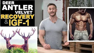 Does Deer Antler Velvet Speed Recovery? IGF-1 and Human Growth Hormone - Thomas DeLauer