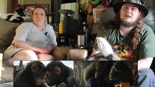 Kingdom of the Planet of the Apes Final Trailer+What a Wonderful Day Official Clip Reaction W Mom