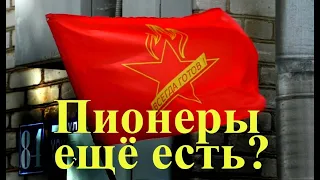 Есть в России пионеры?