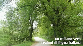 "Non mollare!" - "Che bel posto!" | Lezioni di italiano - Learn Italian