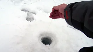 НИЧЕГО НЕ ПРЕДВЕЩАЛО:Зимняя РЫБАЛКА в Январе.Рыбалка в Витебской области