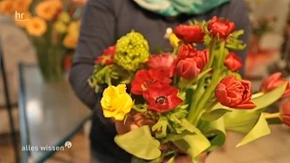 Was hält Schnittblumen am besten frisch?