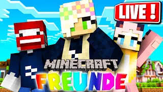 MINECRAFT FREUNDE mit BENX