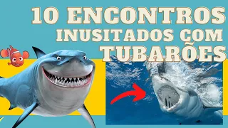 10 ENCONTROS COM TUBARÕES CAPTURADOS POR CÂMERA + EXTRA