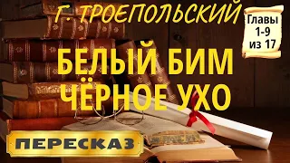 Белый Бим Чёрное ухо. Гавриил Троепольский. (Главы 1-9 из 17)