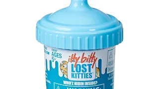 Itty Bitty Lost Kitties Unboxing