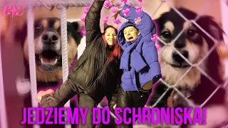 PIESKOWY RECITAL - JEDZIEMY DO SCHRONISKA! 🐶