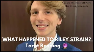 WHAT HAPPENED TO RILEY STRAIN? TAROT READING!