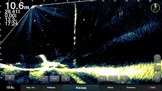 LiveScope    Загадка под носом...и цепь от буя на 60м!