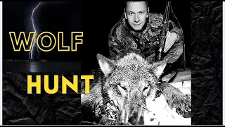 Охота на волка за 1 минуту. Wolf Hunt - 1 min