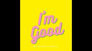 David Guetta & Bebe Rexha - I'm Good (Blue) (Marimba Remix) Marimba Ringtone - iRingtones