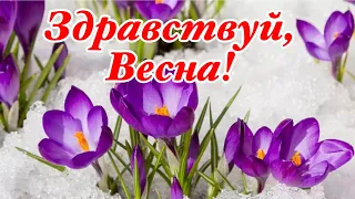 Прощай Зима, Здравствуй Весна! Музыка Сергей Чекалин! Поздравление С Первым Днём Вёсны! 1 Марта