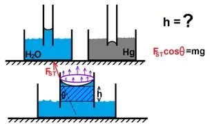 Physics 33.1  Surface Tension (5 of 12): What Causes Capillary Action?