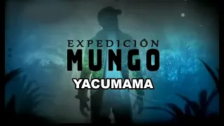 Expedición Mungo - Depredador peruano