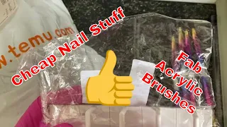 Temu Haul | Cheap Nail Products & Other Stuff | (With Ants! LOL)