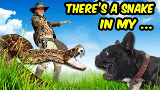 There's A Snake In My... Airsoft Wild West | Episode 6