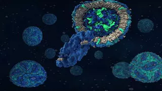 Zika Virus 3D VR. Virtual Reality Animation