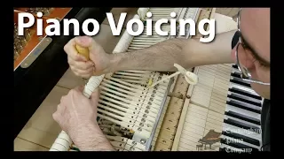 Voicing a Piano | Cunningham Piano Company