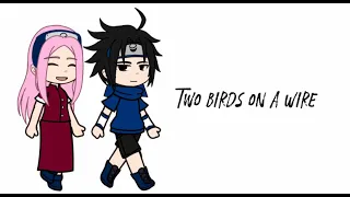 [ Two Birds on a Wire ] [ tw! blood ] [ sasusaku angst ]