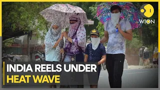 Heatwave alert for several Indian states | WION Climate Tracker