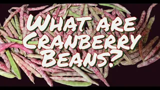 Cranberry Beans