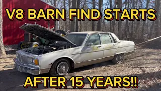 BARN FIND 1985 PONTIAC PARISIENNE FIRST START