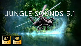 5.1 Jungle Sound | THX Surround-EX | 4K HDR