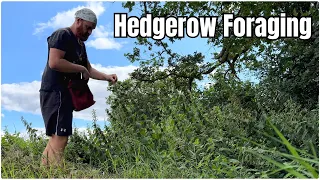 Hedgerow Foraging