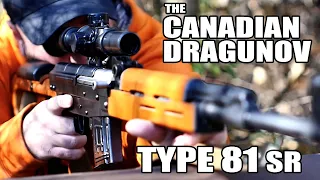 The Canadian SVD Dragunov - Type 81 SR - ACCURACY!