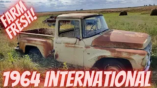 Abandoned Farm Truck! 1964 International Harvester C900 Shortbed Stepside Will it run?!?