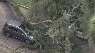 Large tree smashes on top of moving car in Orlando