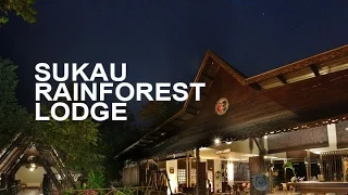 Sukau Rainforest Lodge