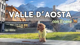 In Valle d’Aosta con il cane