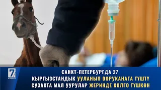 САНКТ-ПЕТЕРБУРГДА 27 КЫРГЫЗСТАНДЫК УУЛАНЫП ООРУКАНАГА ТҮШТҮ. СУЗАКТА МАЛ УУРУЛАР ЖЕРИНДЕ  КАРМАЛДЫ