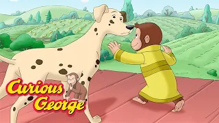 Curious George 🐵 George rescues a dog! 🐵 Kids Cartoon 🐵 Kids Movies 🐵 Videos for Kids